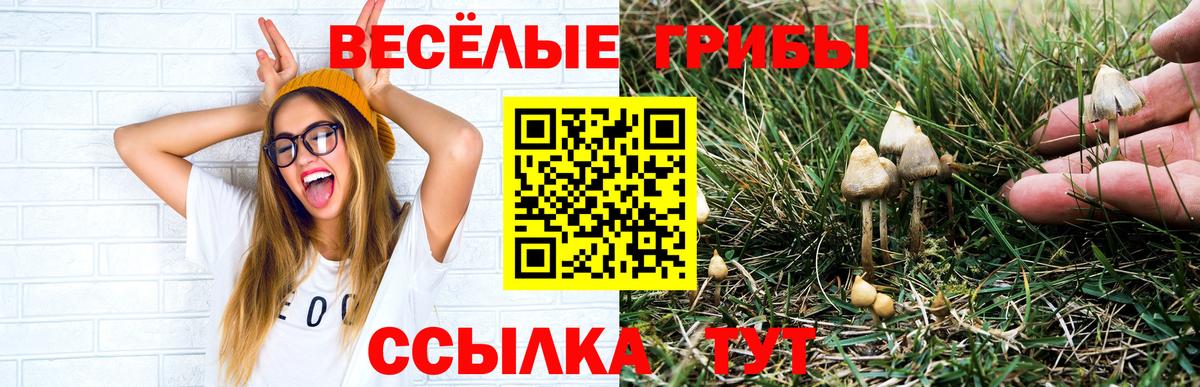 Галлюциногенные грибы Cubensis  купить  сайты  Ростов-на-Дону  Галлюциногенные грибы MAGIC MUSHROOMS  Вход с VPN 