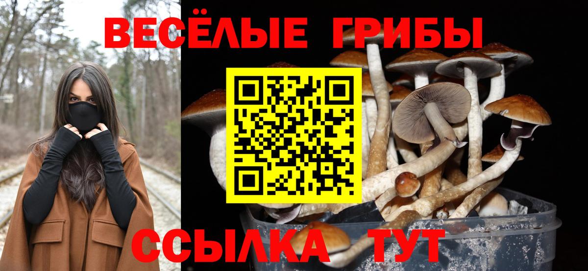 Псилоцибиновые грибы Magic Shrooms Ростов-на-Дону